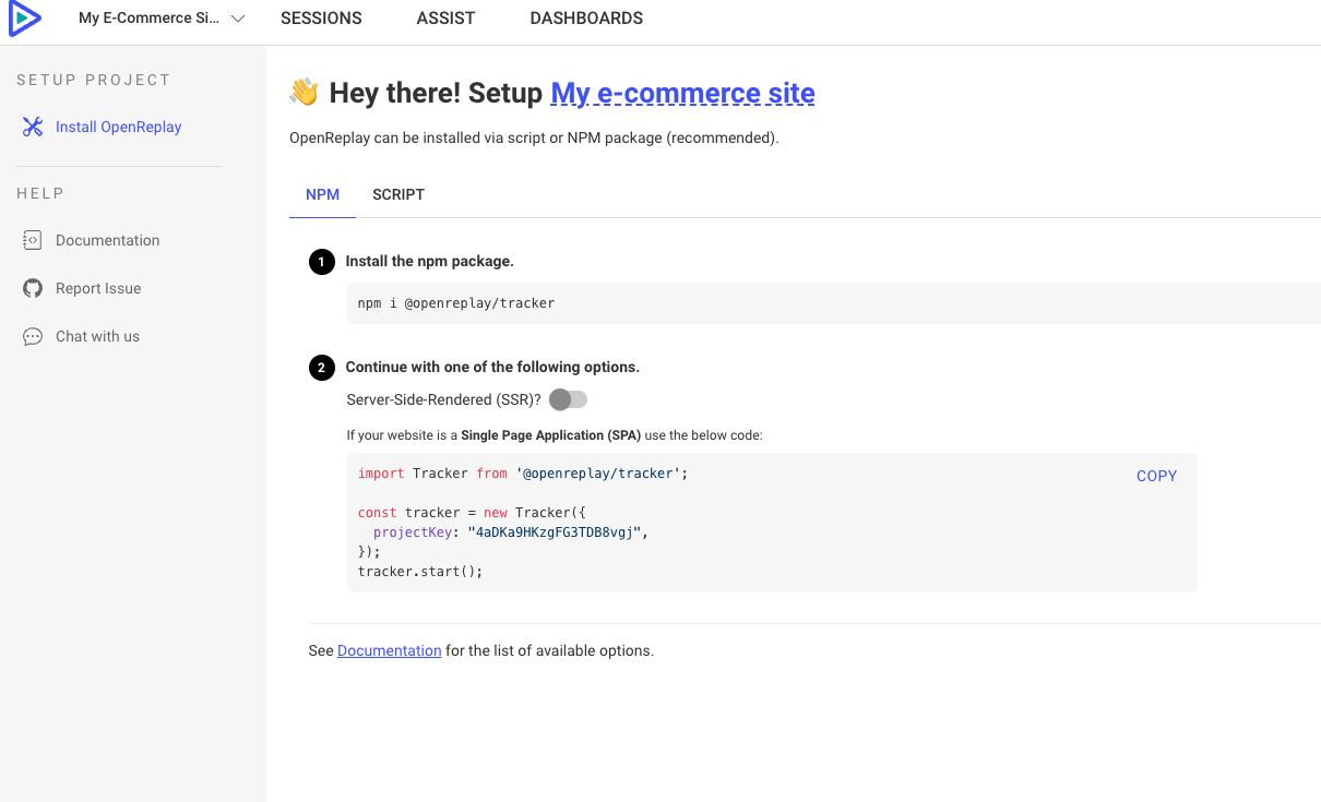Getting the JS Snippet